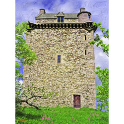 Fatlips Castle Painting
